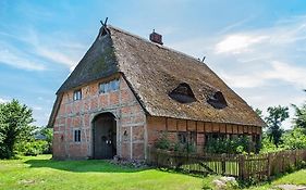 Reetscheune Kruezen